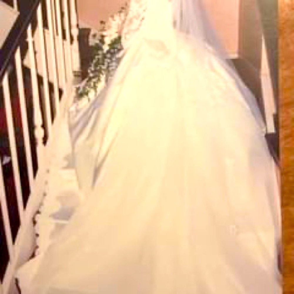 Wedding Gown with Veil (size 6)